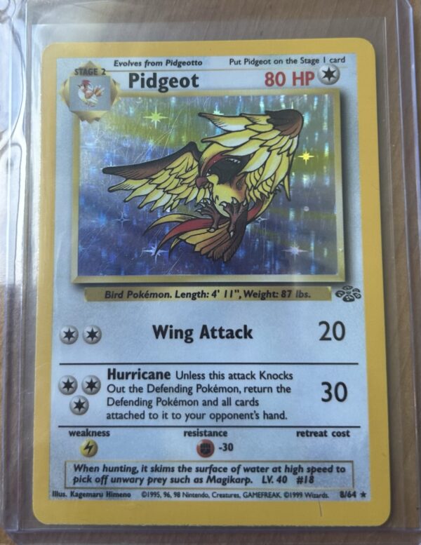 Pidgeot Holo – Jungle Set 8/64 (NM)
